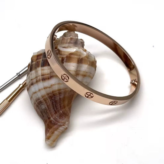 Luxury Stainless Steel Nail Screw Bangle Bracelet
